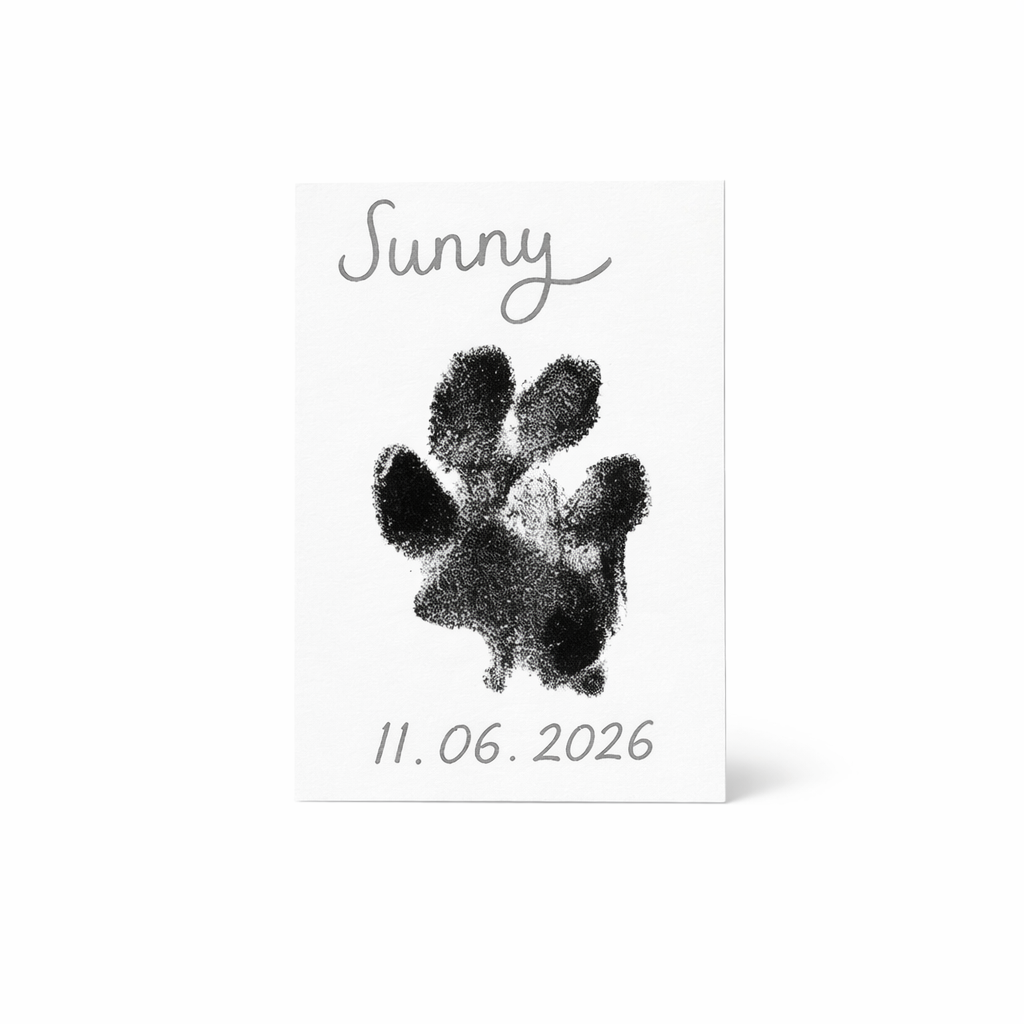 Personalised Pet Memory Box