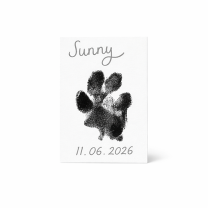 Personalised Pet Memory Box
