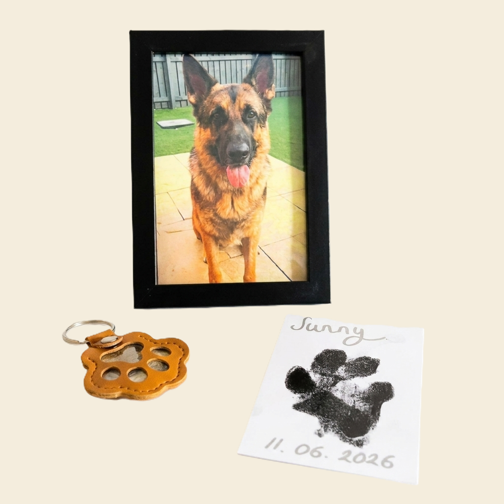 Personalised Pet Memory Box